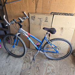 Schwinn Bike