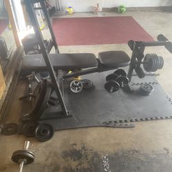 Golds Gym Olympic Weight Bench