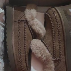 Ugg Shoe