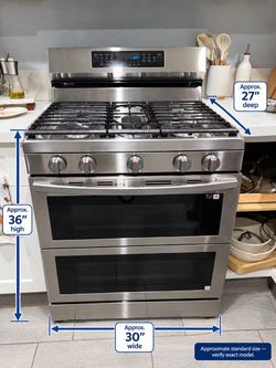 Samsung Stainless Steel Double Oven Gas Range