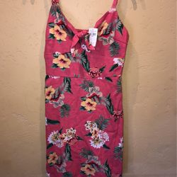 Hollister Spring/summer Dress