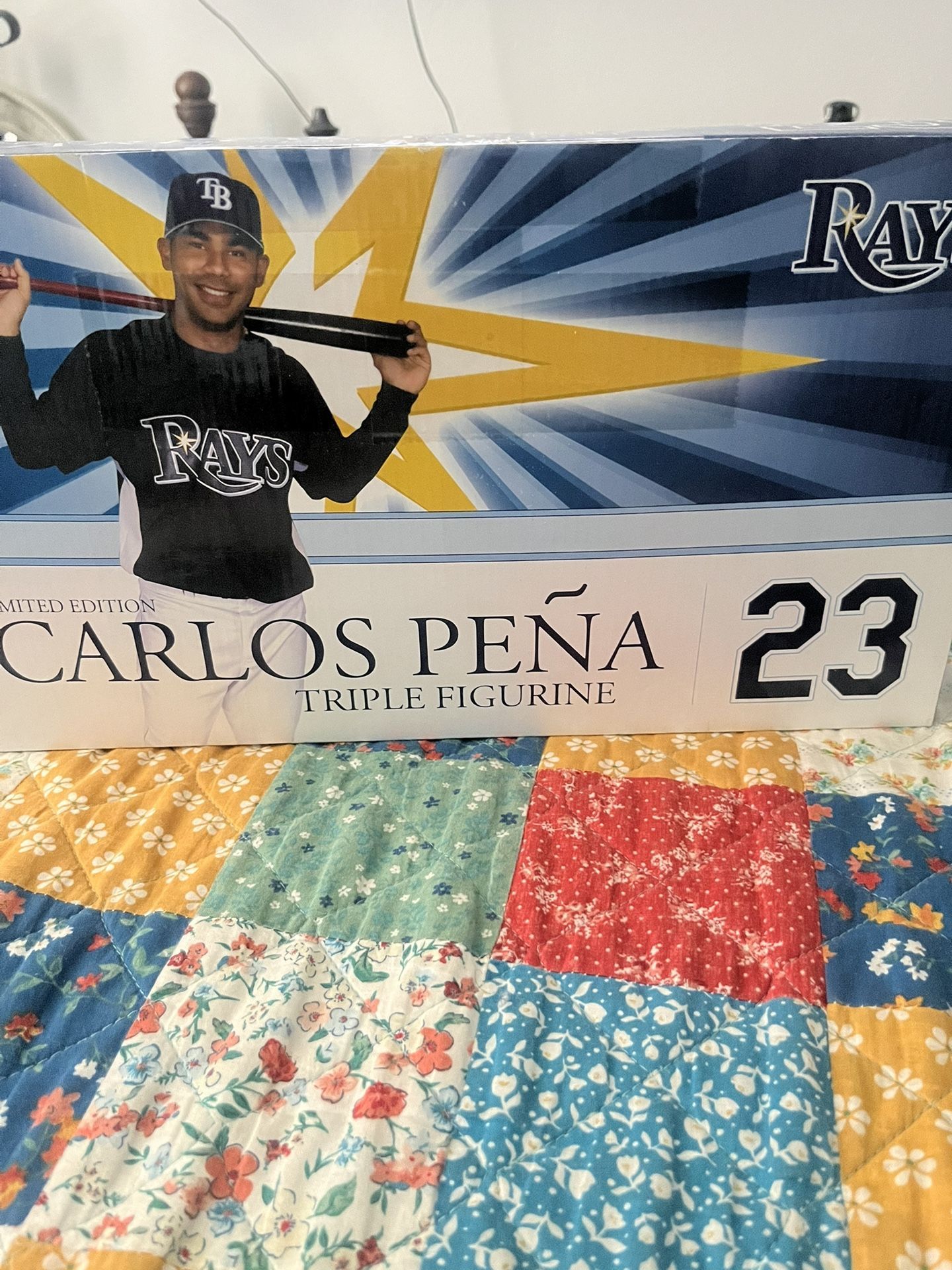 Devil Rays Collectible