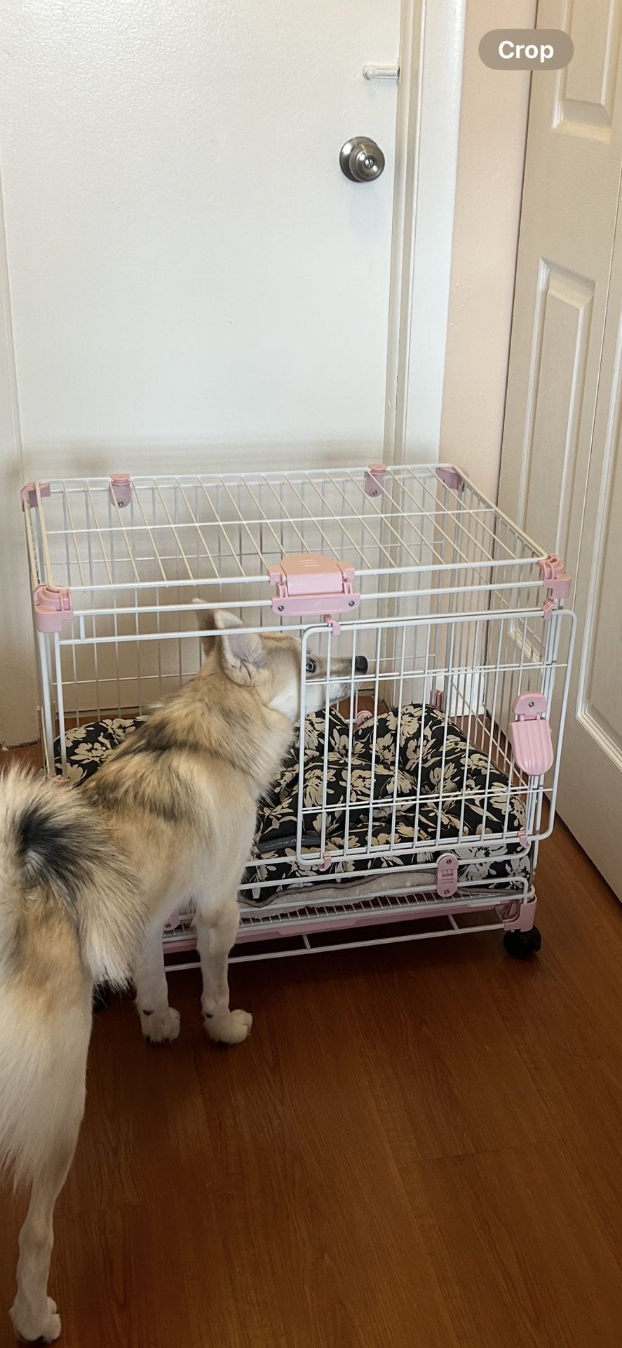 Jaula Para Perros Medianos Con Puerta De Corrodes