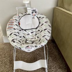 Baby Bouncer 