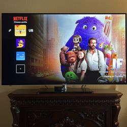 Hisense 55” 1080p TV — minor pixel defect at bottom edge