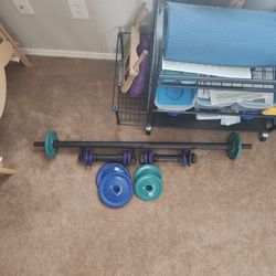 Danskin 30# Barbell/dumbbell Set