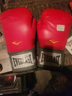 Everlast 14oz Boxing Gloves Red
