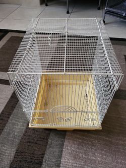 Carrying Bird Cage