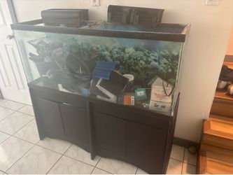 50 Gal Full Aquarium