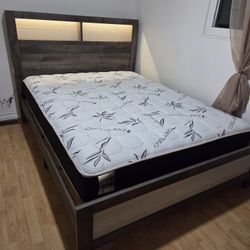 Brand New Queen Bed With Orthopedic Bamboo Mattress LED Light Headrest $559