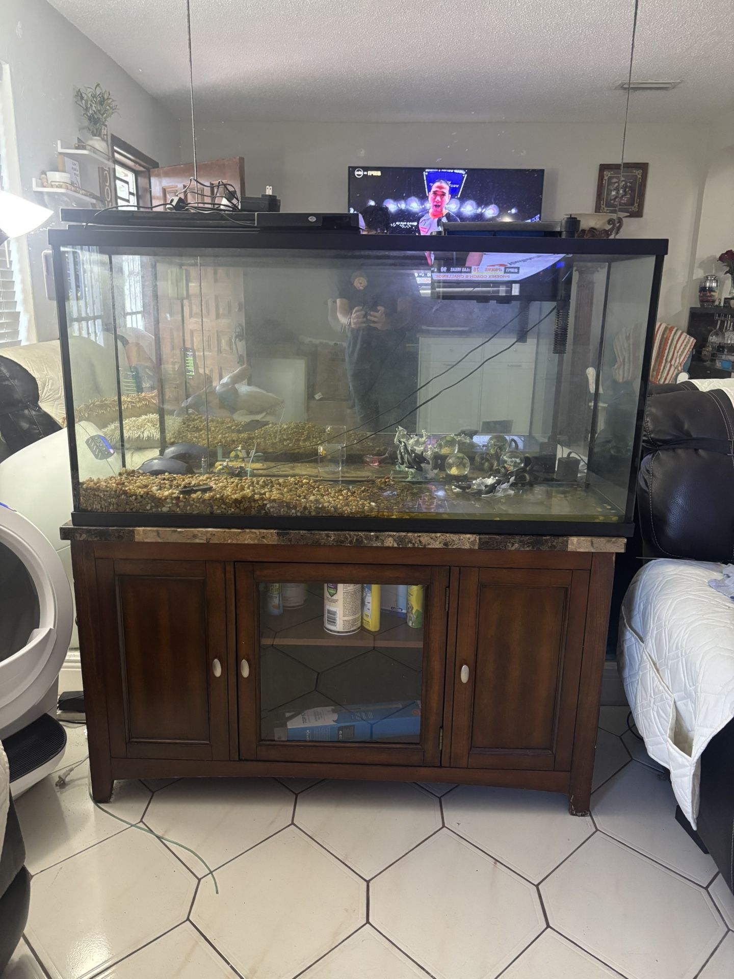 55 Gallon Fish Tank