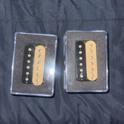 Gibson Zebra Humbucker Set 57 Classic Neck BB3 Bridge