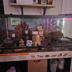 Bearded Dragon Glass Cage Plus Extras
