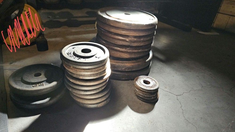 Weight Plates - 1 Inch - 337.5 lbs