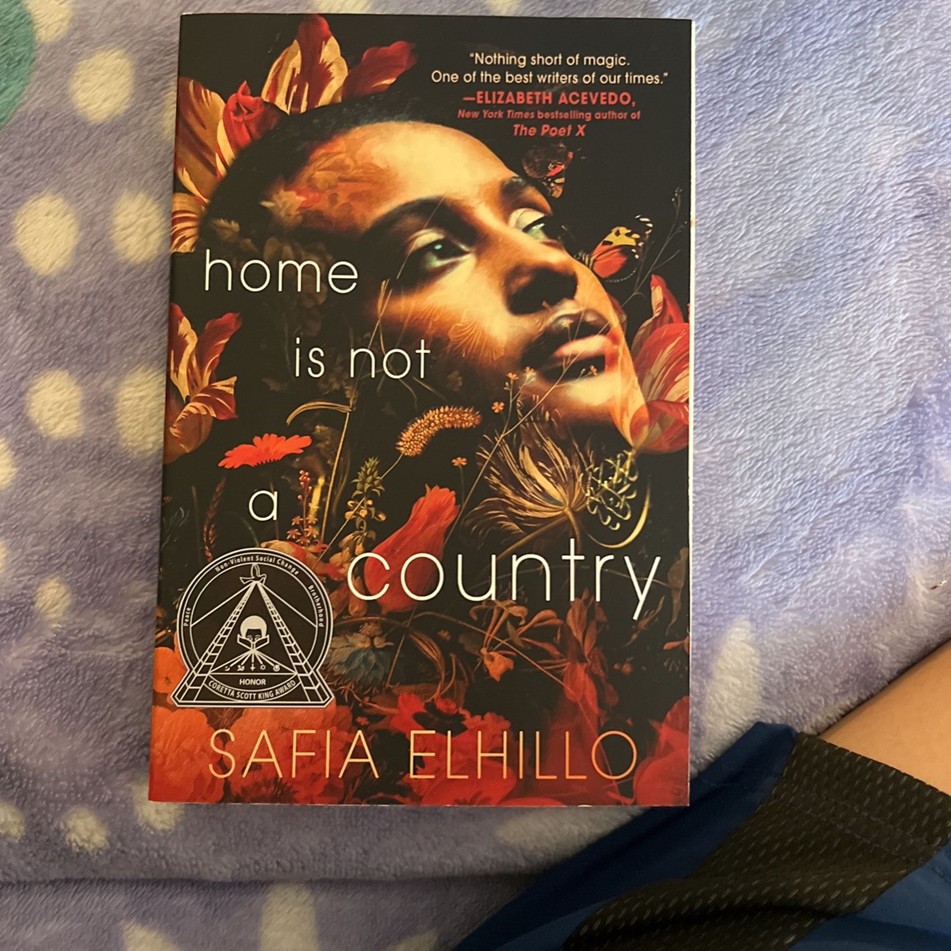 “Home Is Not A Country” Safia Elhillo