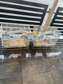 Hamster cage