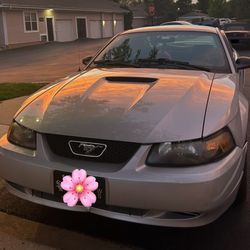 2002 Ford Mustang