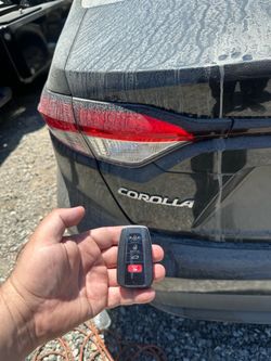 Keys Llaves 9099 759856