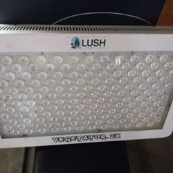 Grow Light Indoor 