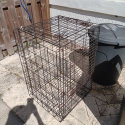Dog Cage