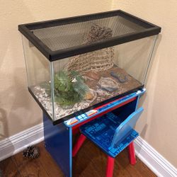10 Gallon Tank