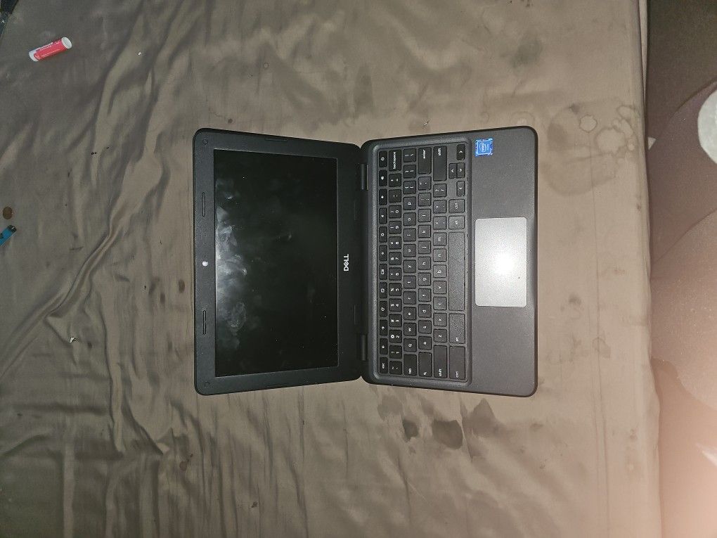 Dell Chromebook 11 3100 11.6