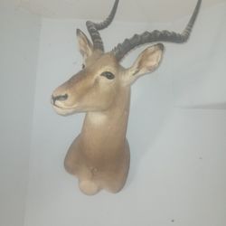 Deer Great Shape Local Collections 