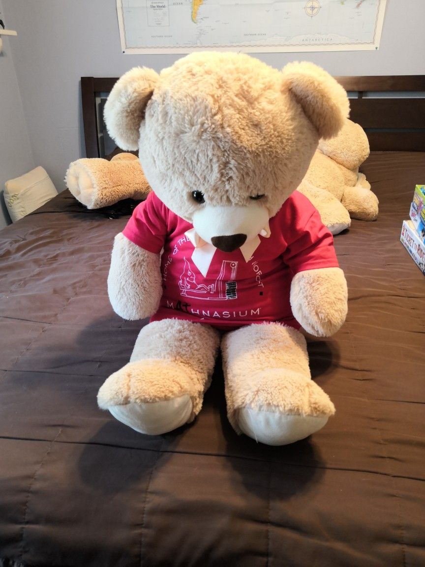 Large Mathnasium Teddy Bear