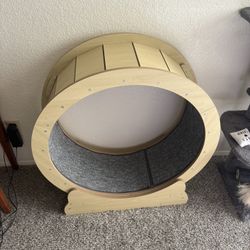pet treadmill