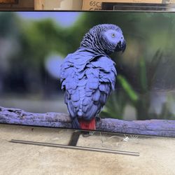 Samsung QN75Q7FNA 75" Q7FN QLED Smart 4K UHD TV 