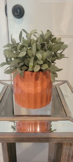 Orange Ceramic Planter with Live Plant