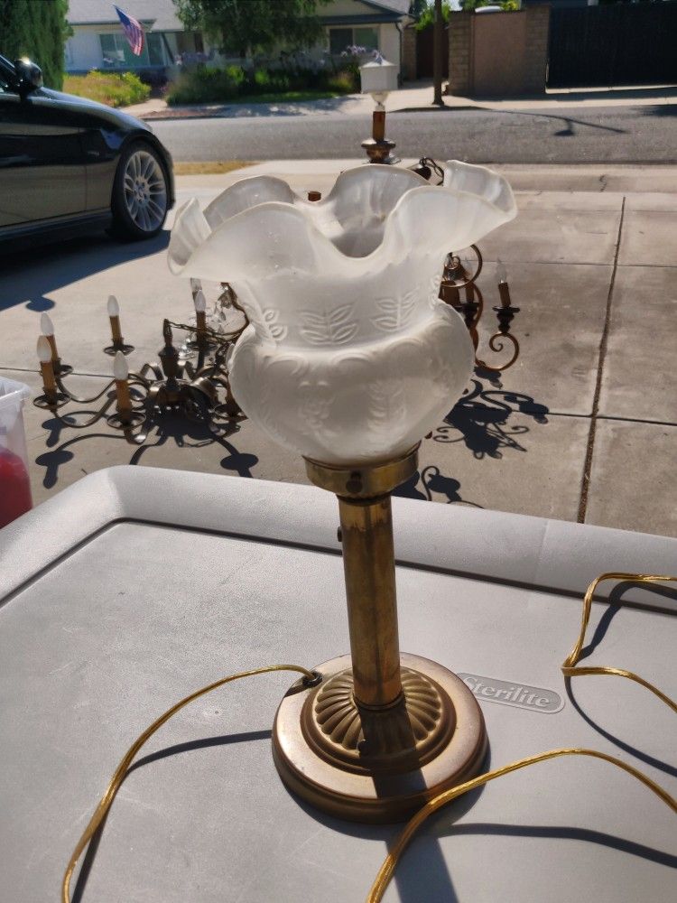 Small Brass Lamp (12 inches) w. Frosted Glass Tulip Shade