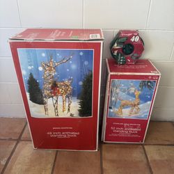 Christmas Deers With Lights