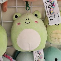 Og Wendy Squishmallow Clip