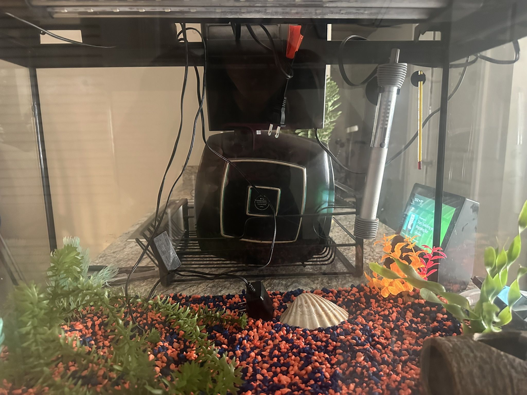 Fish Tank