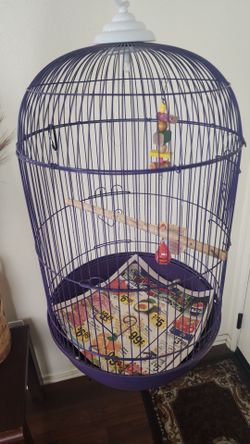 Birt  Cage