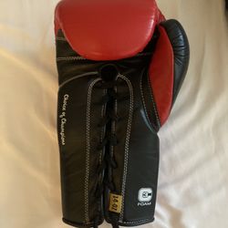 Everlast Boxing Gloves