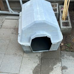 Dog House 