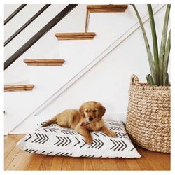 Modern Dog Bed