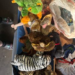 Vintage TY Beanie Babies lot – $40 OBO