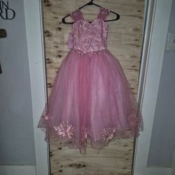 Pink Tulle Embroidered Princess Sized 4/5 Dress