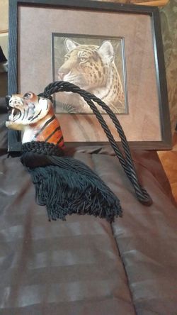 Tiger picture and tie back