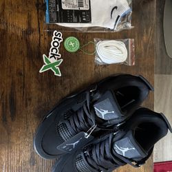 Air Jordan 4 Black Cat