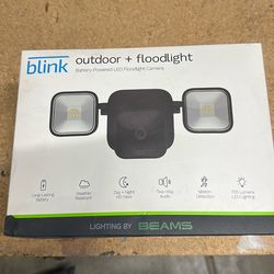 Blink Wireless outdoor floodlight and camera