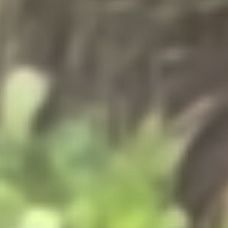 Scary Pics Real I Took On My Phone 