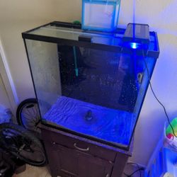 Salt Water 30 Gallon Aquarium 