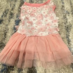Dog Dress