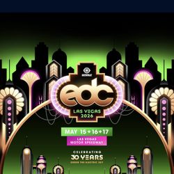 3 Day VIP EDC WRISTBAND