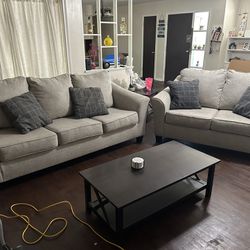 Sofa/Couch Living room