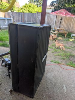 Free Ottoman/Pullout Bed